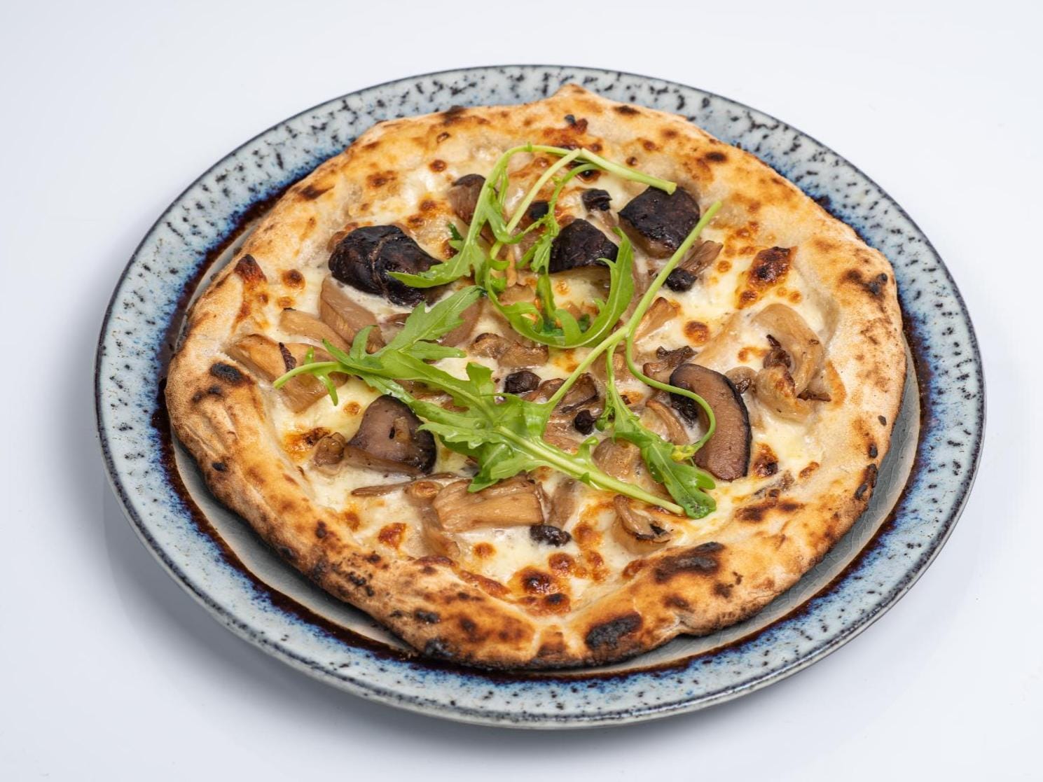 Mixed Mushroom Pizza